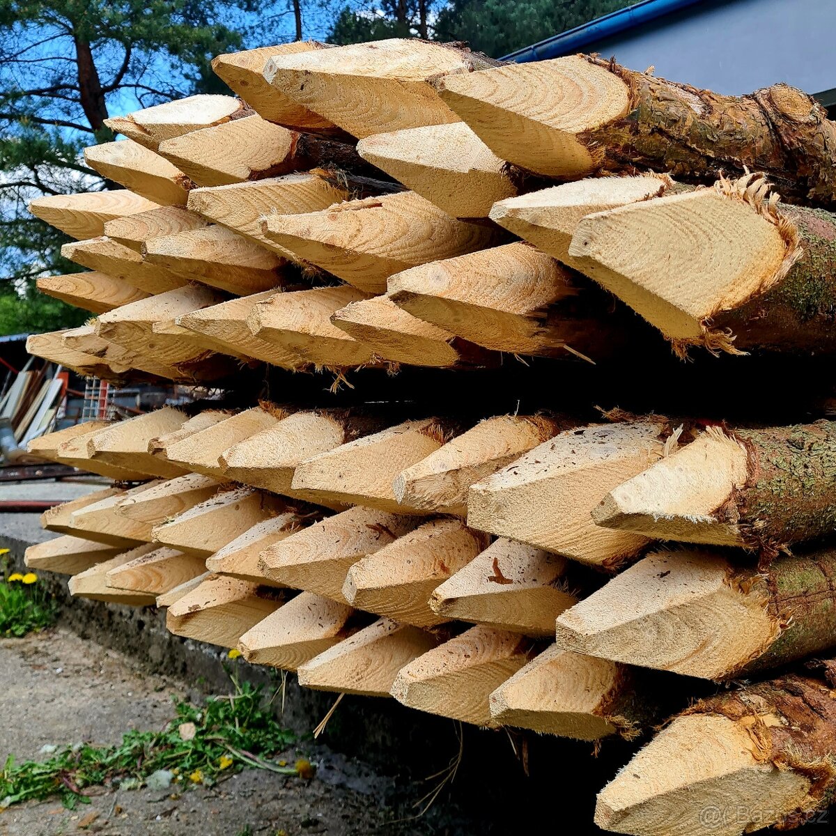 Dřevěné kůly, na ohrady a ploty - 4