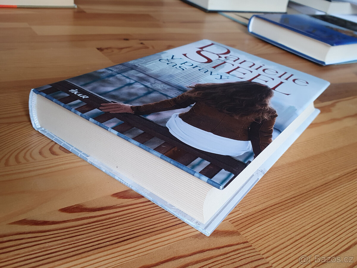 6x Danielle Steel - 4
