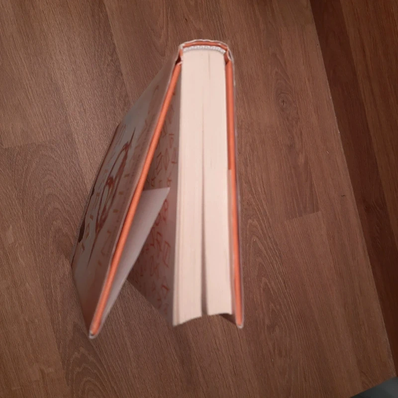 Sabriel, Garth Nix - 4