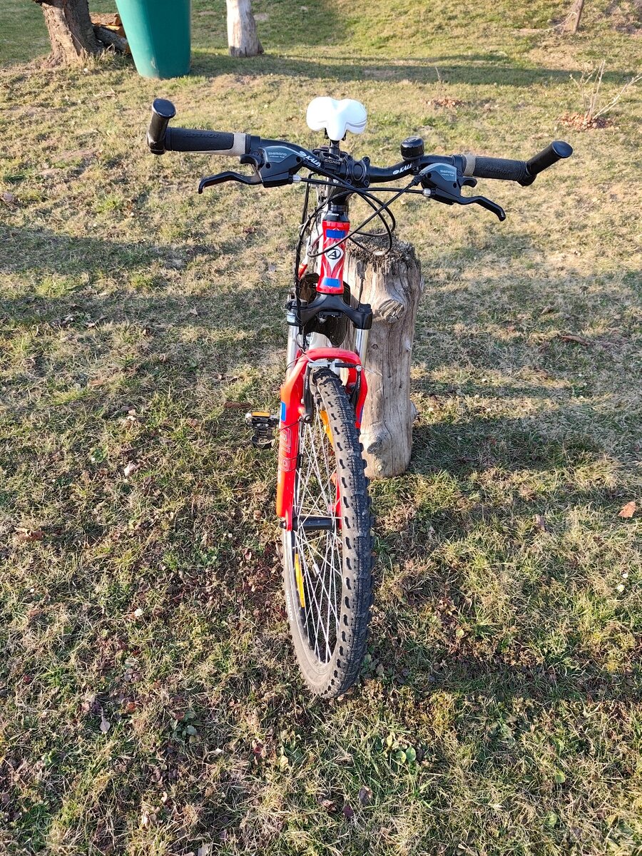 Prodám dámské kolo - 4