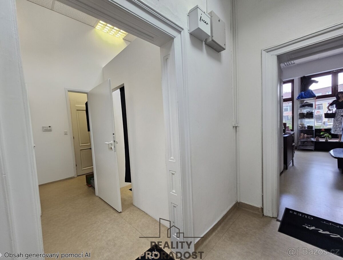 Pronájem komerčních prostor 90 m2 v centru, ul. Štefánikova - 4