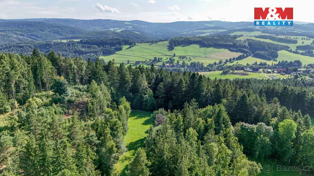 Prodej lesa, 15707 m², Petrovice u Sušice - 4