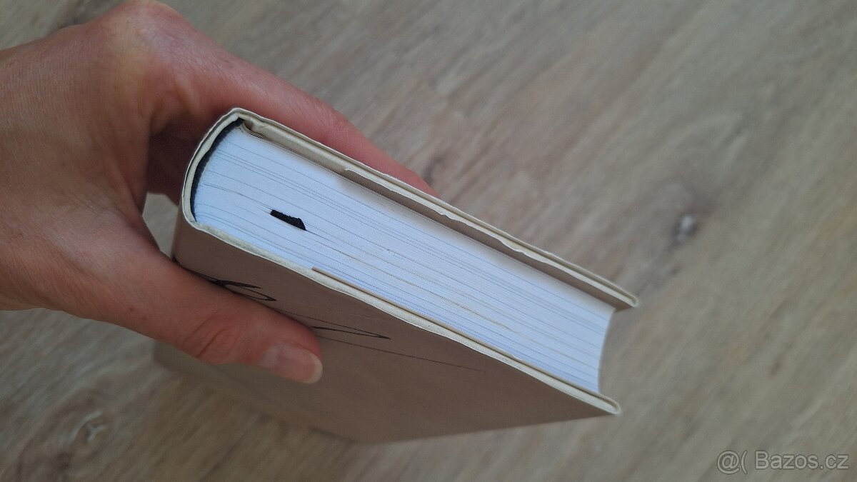 Návrat do Čech /dopisy z let 1990–1999/ - Ivan Diviš - 4