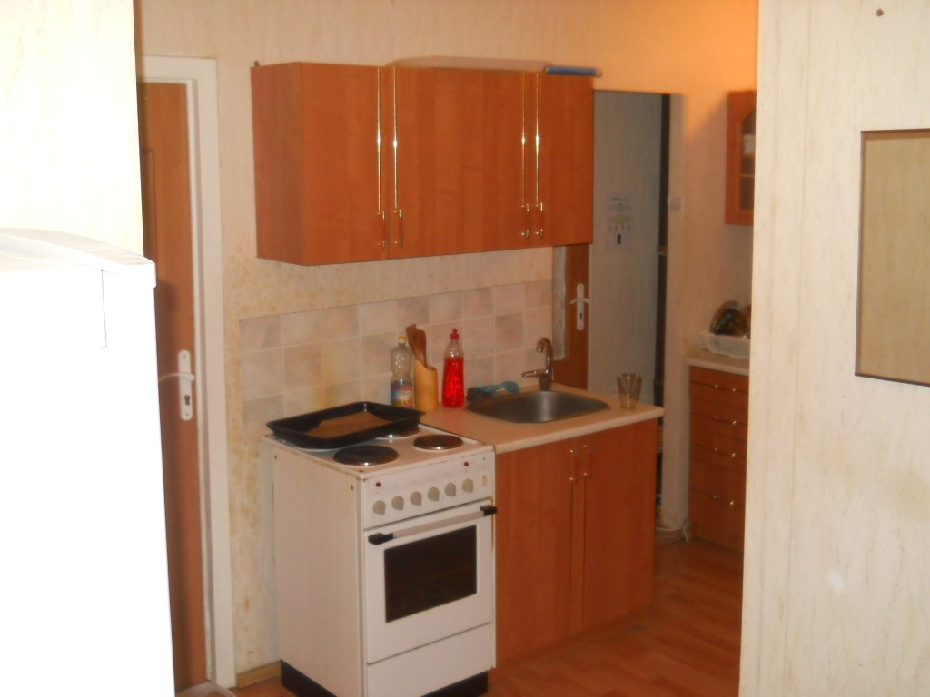 pokoj pro 1 osobu Brno Bohunice - 4