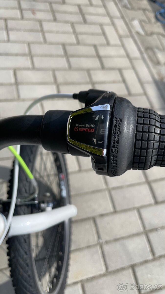 Superior Paint 20 - 4