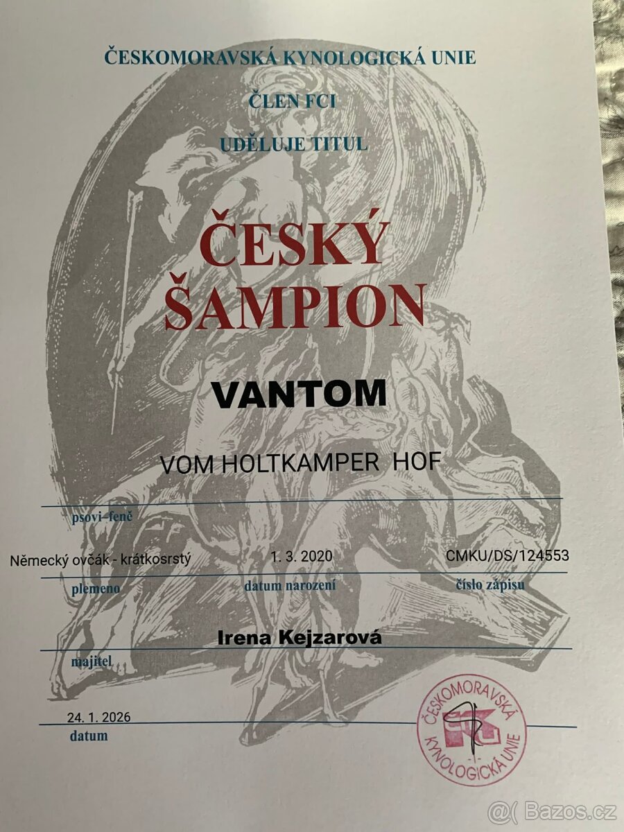 Německý ovčák štěňata - Rokycany - 4