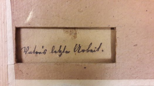 Obraz na plátně - 4