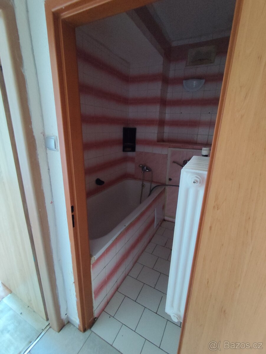 Pronájem bytu 1+1 v OV - 4