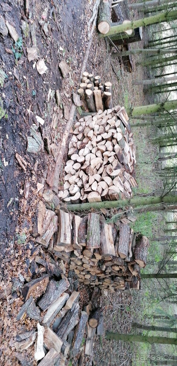 Palivové dřevo - 4