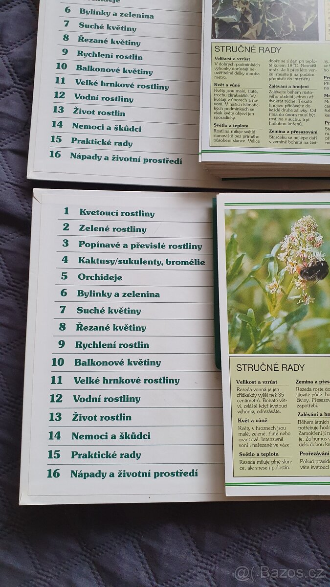 Pokojové květiny od A do Z - 4