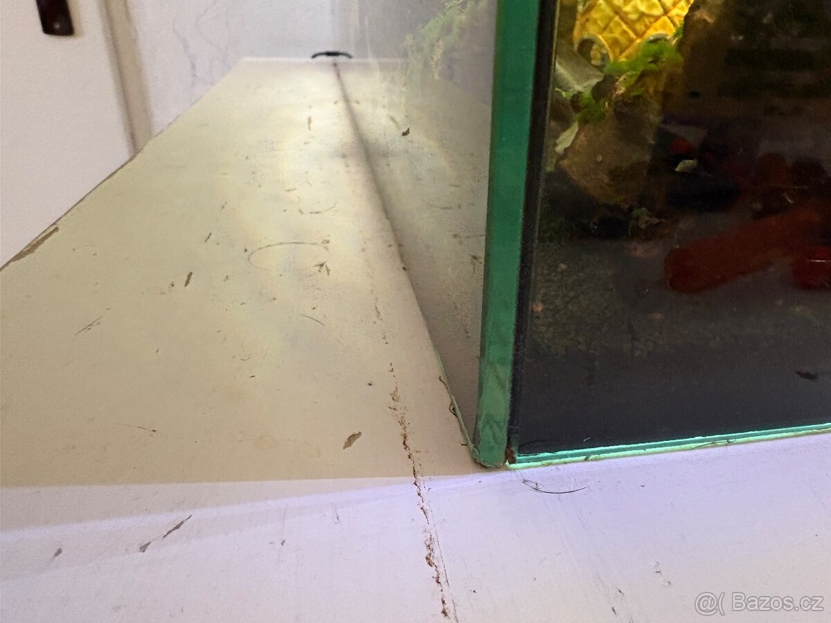 Prodám Axolotla - Akvarium s vybavením - 4