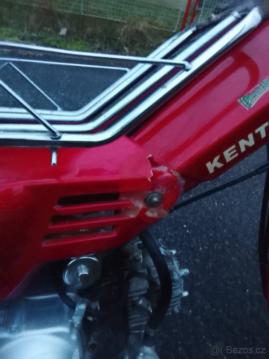 Kentoya twin cup 50 - 4