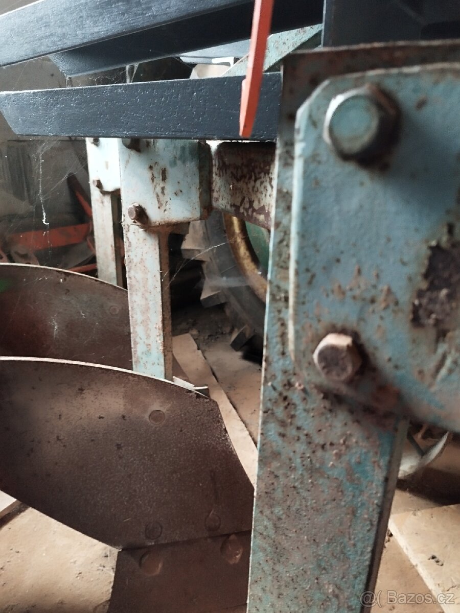 Pluh tříradličný - 4