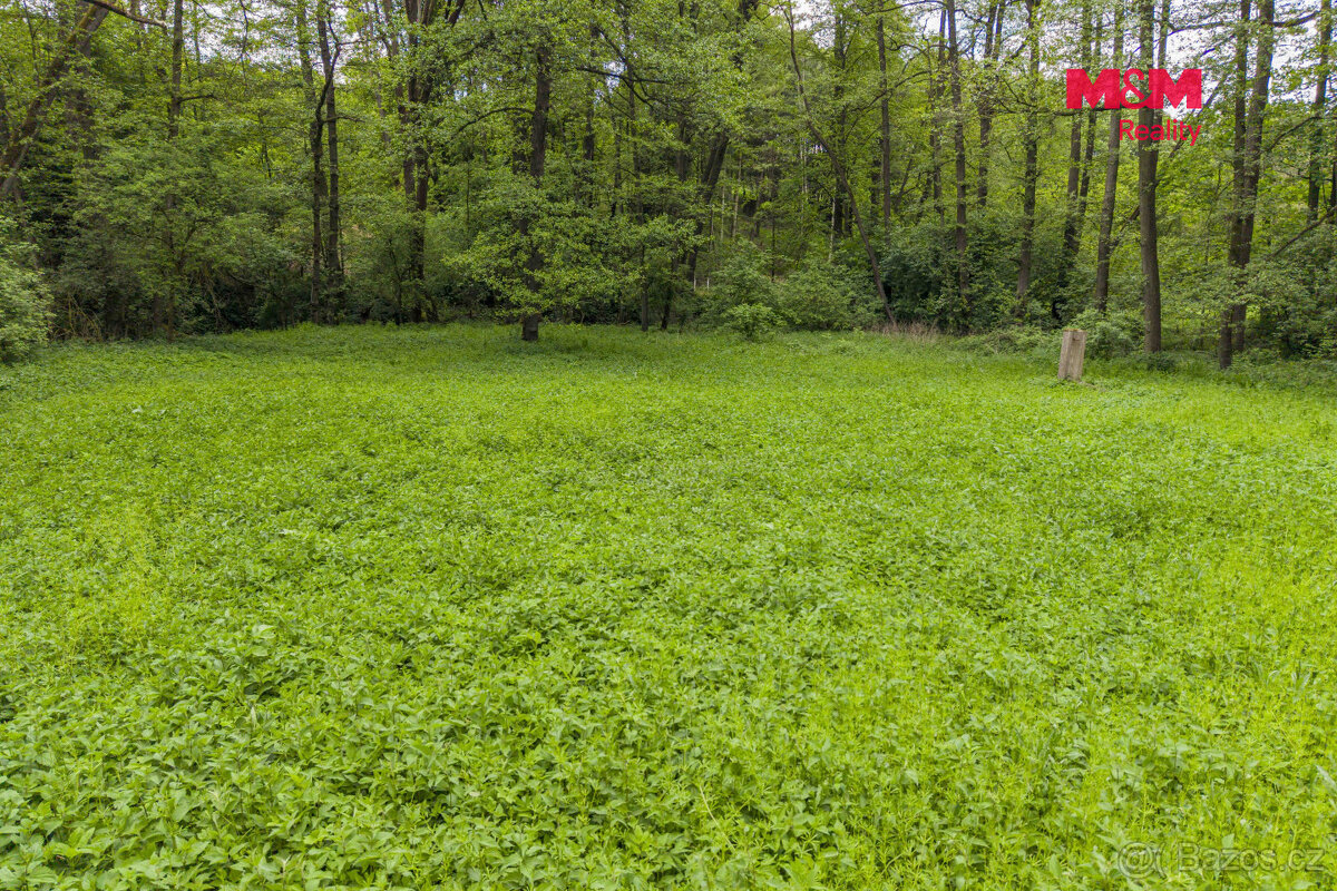 Prodej lesa, 491 m², Bohouňovice I - 4