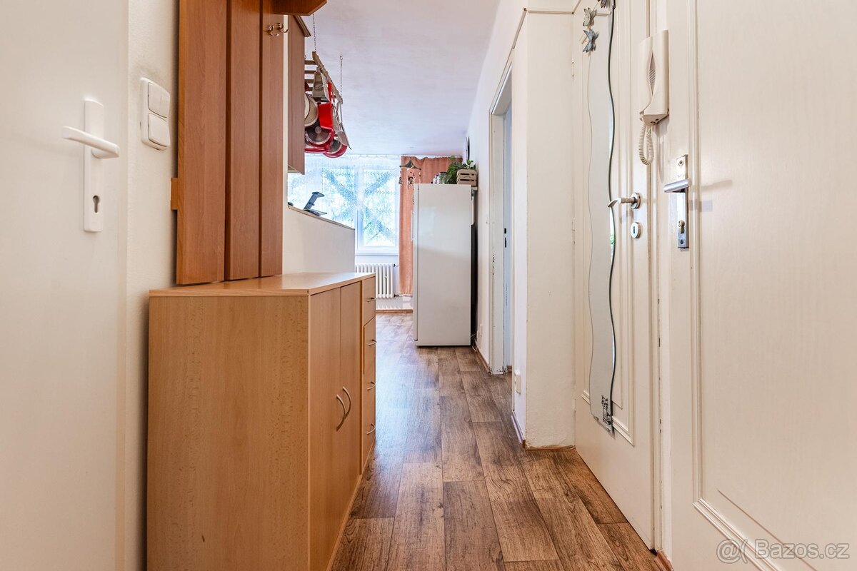 Pronájem bytu 4+kk 64m - 4