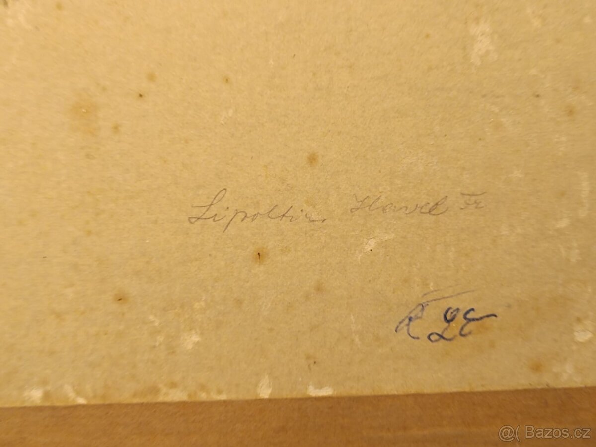 Obraz Šumava 1977, olejomalba 48x58 - 4