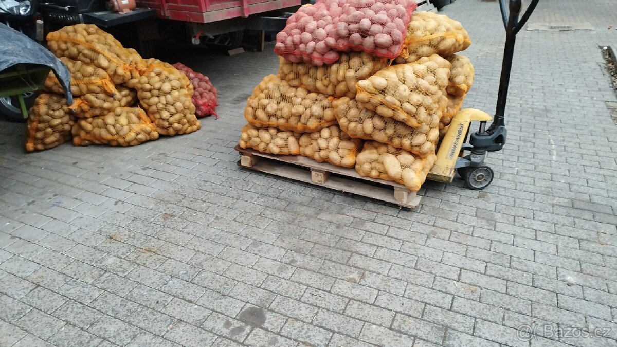 🌿 Konzumní brambory 🥔 - 4