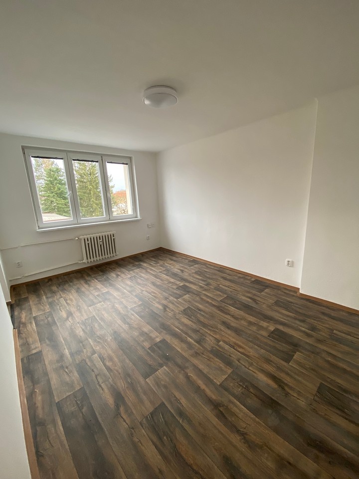 2+1 ve Strakonicích, 47m2 - 4