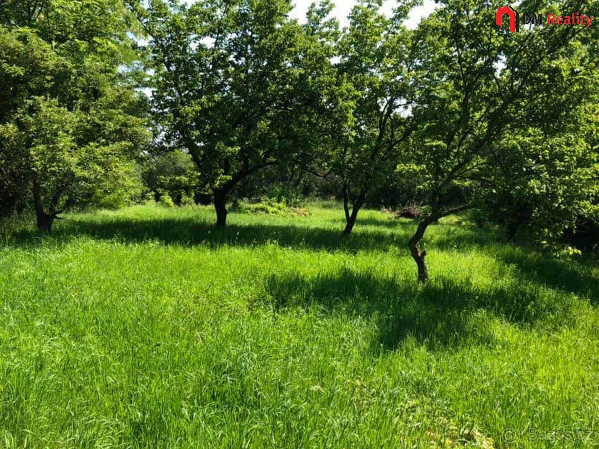 Prodej zahrady 5231 m2, Dalovice - 4