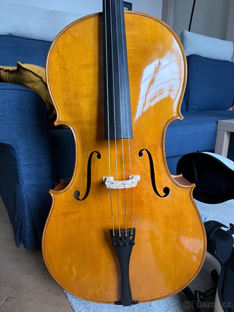 Violoncello 1/1 - 4