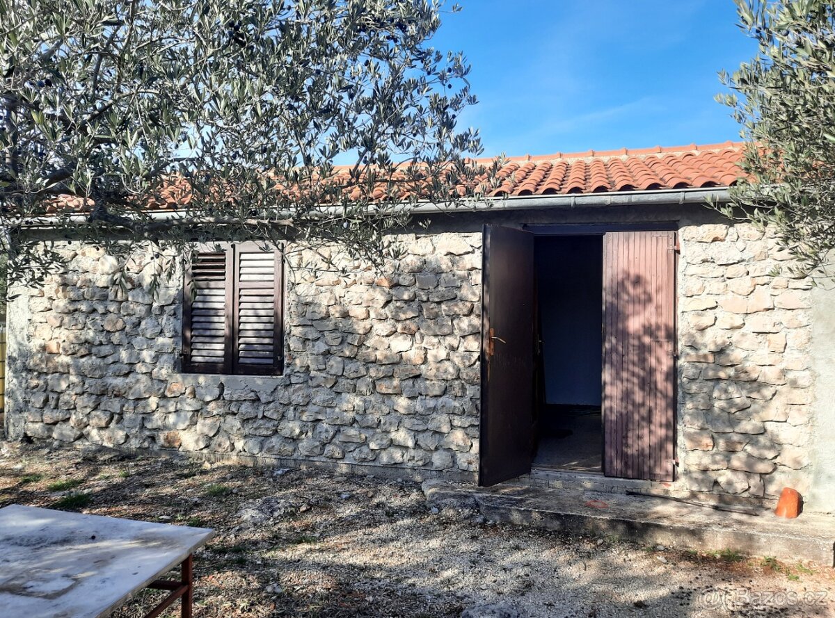 Kamenný dům s olivovým sadem - 4