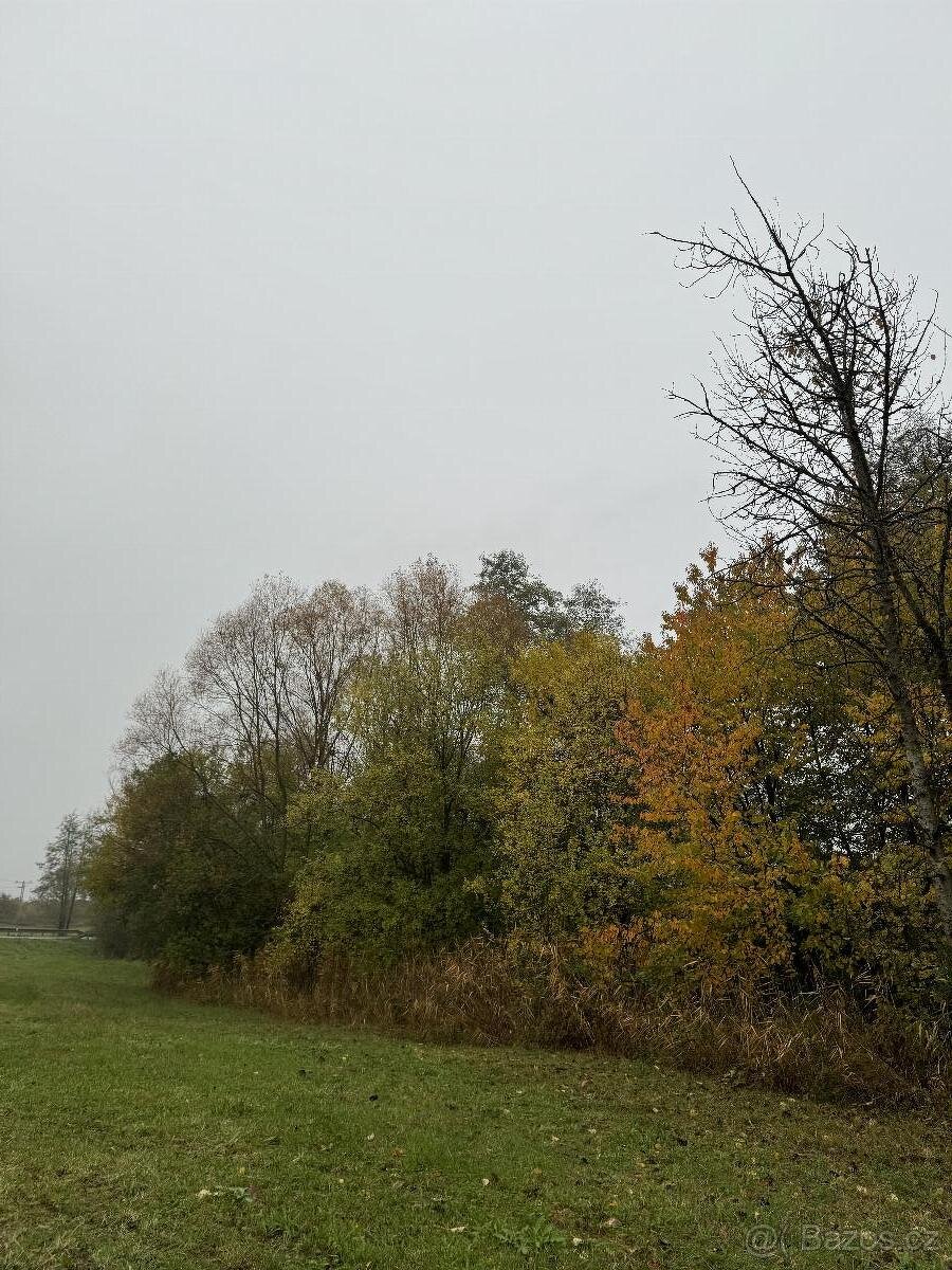 Prodám lesní pozemek v k.ú. Blíževedly - 4