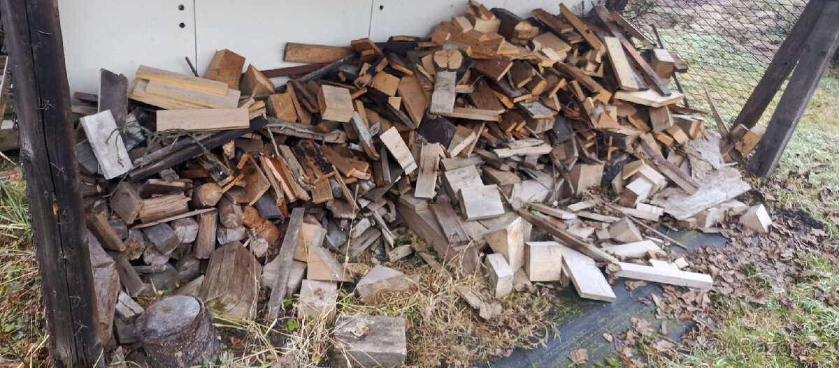 Dřevo za odvoz UŽ POUZE VĚTVE - 4