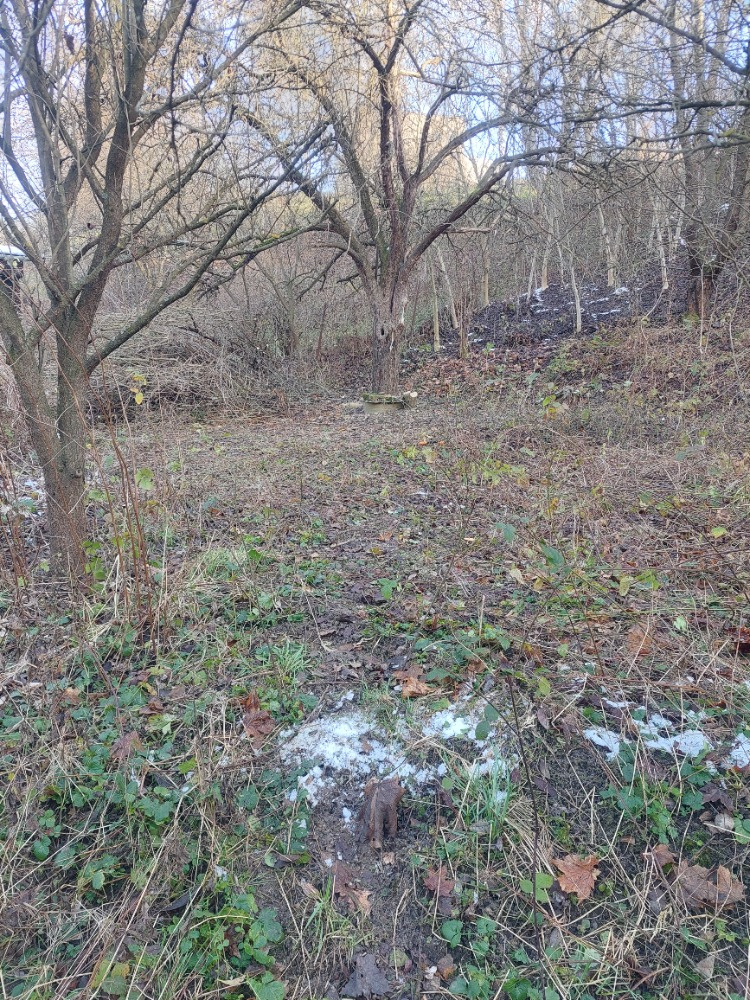 Pozemek - zahrada Blansko - 4