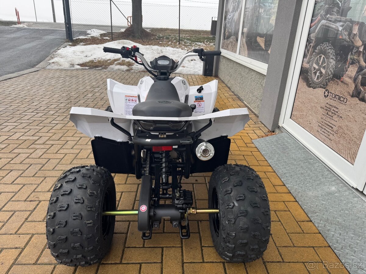Linhai ATV 110 - 4
