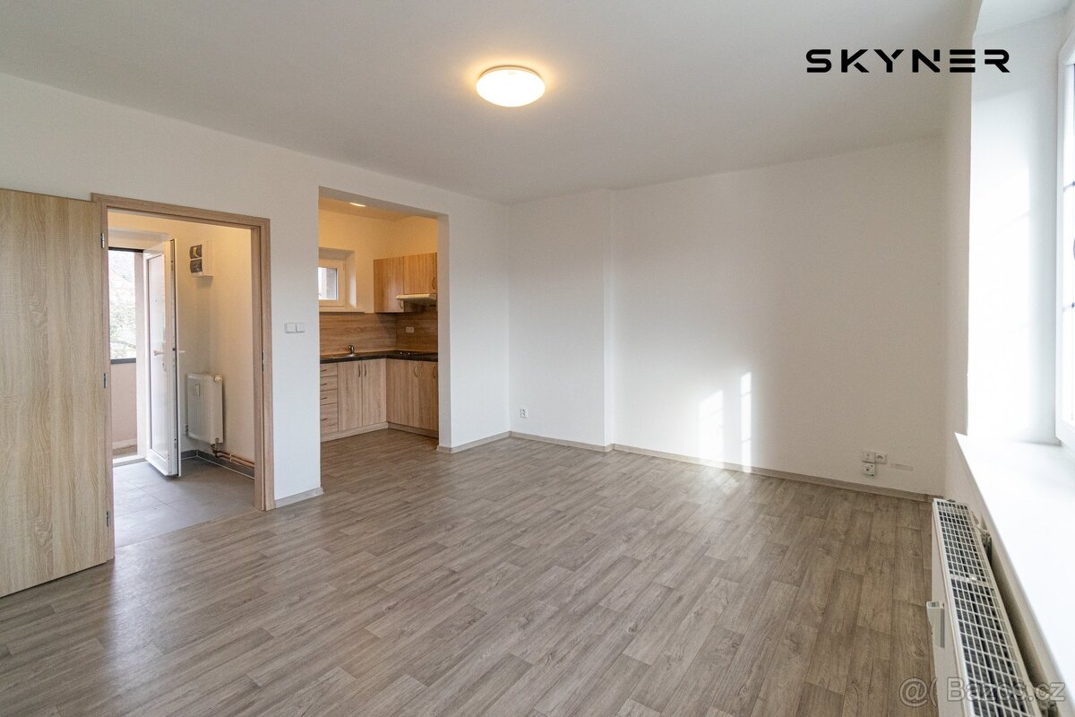 Pronájem, Byty 1+kk, 26m² - Děčín VI-Letná, ev.č. 01196 - 4