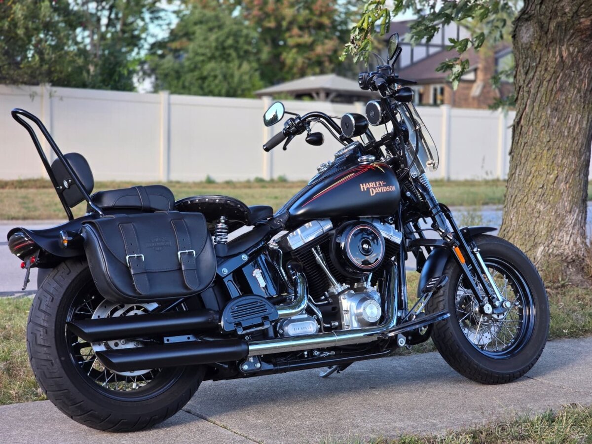 Harley-Davidson FLSTSB Softail Cross Bones 2008 - 4