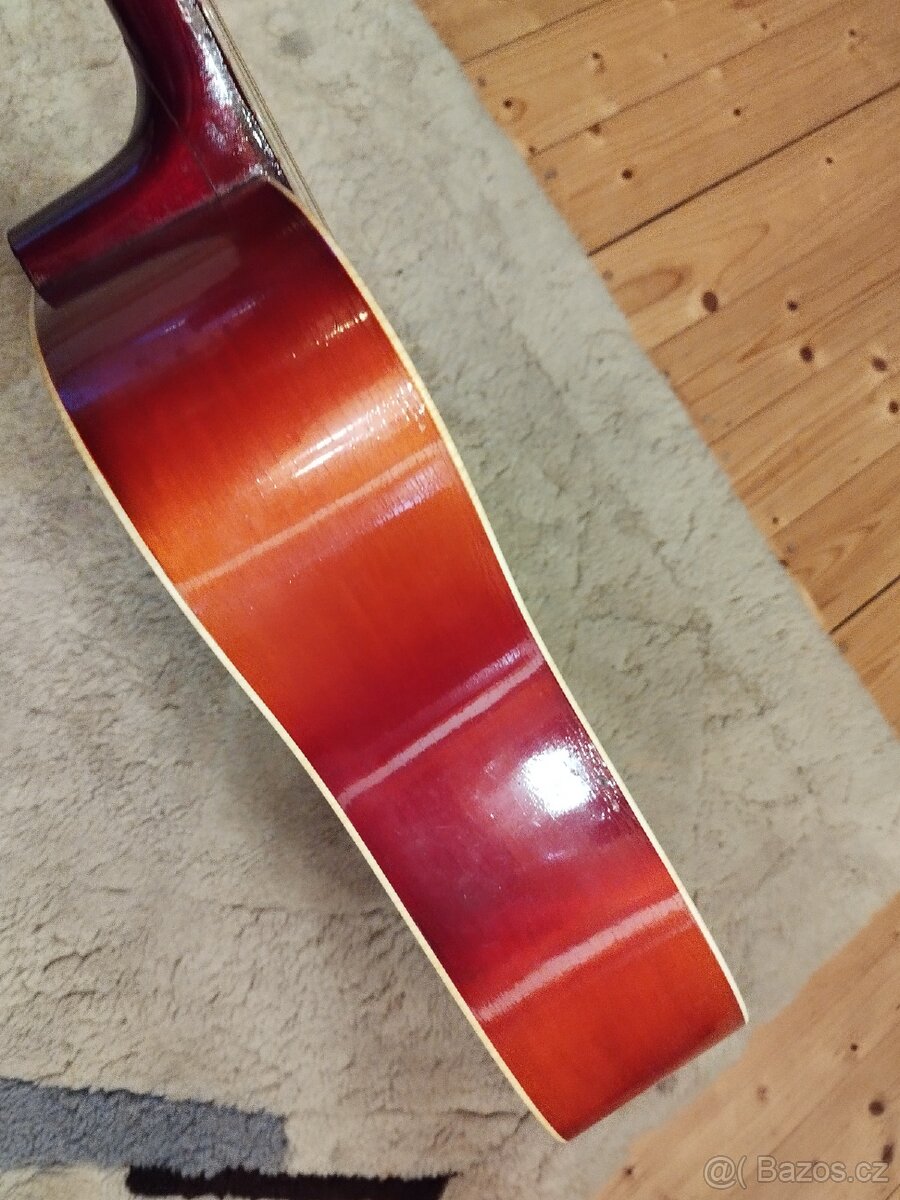 Kytara 12 strunná - 4