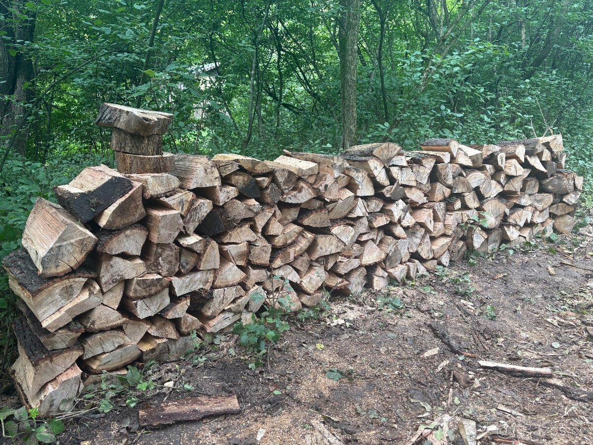 Palivové Dřevo Jasan - 4