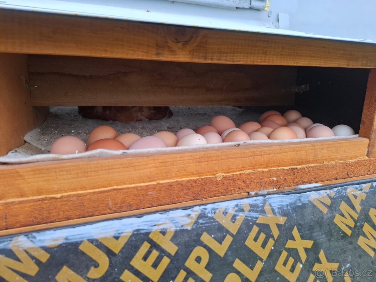 Mobilní kurník/ maringotka - 4