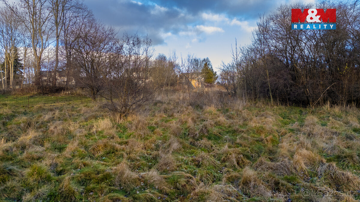 Prodej pozemku k bydlení, 5299 m², Rumburk - 4