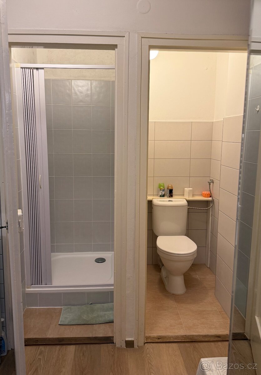Pronájem bytu 2+1 v RD v Brně - Černá Pole - 4