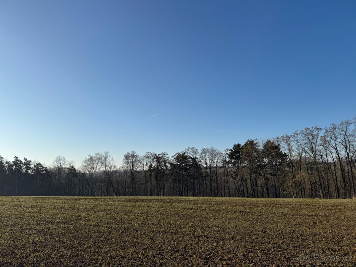 Prodám lesní pozemky v k.ú. Radouň Mělnické Vtelno - 4