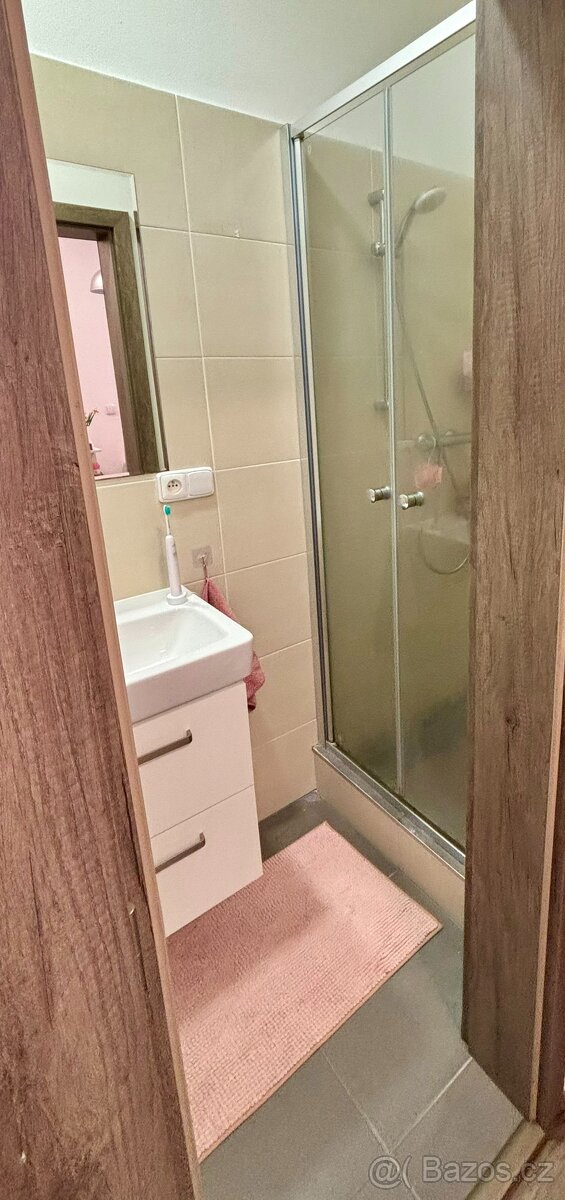 Pronájem garsonky Praha 5, Košíře - 4