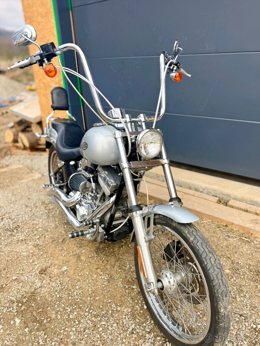 Harley Davidson FXST 2006 - 4