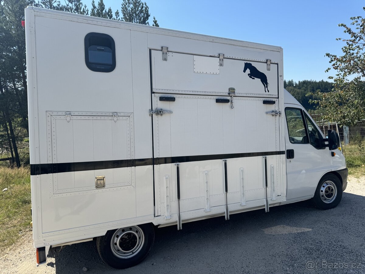 Fiat ducato pro prepravu koní 2.8jtd - 4