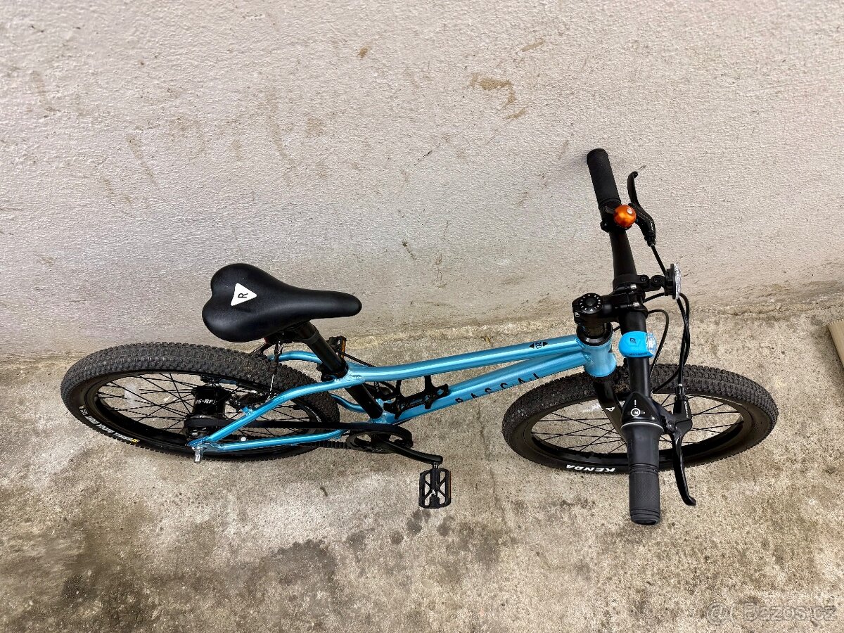 Lehké dětské kolo Rascal 20 - 4