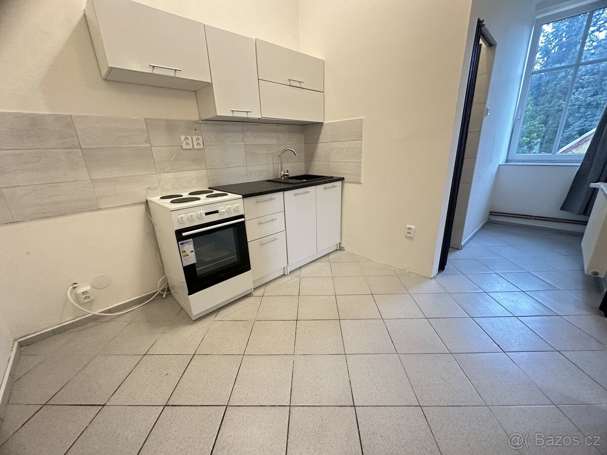 Pronájem bytu 1+1 40 m², Liberec XXX-Vratislavice nad Nisou - 4