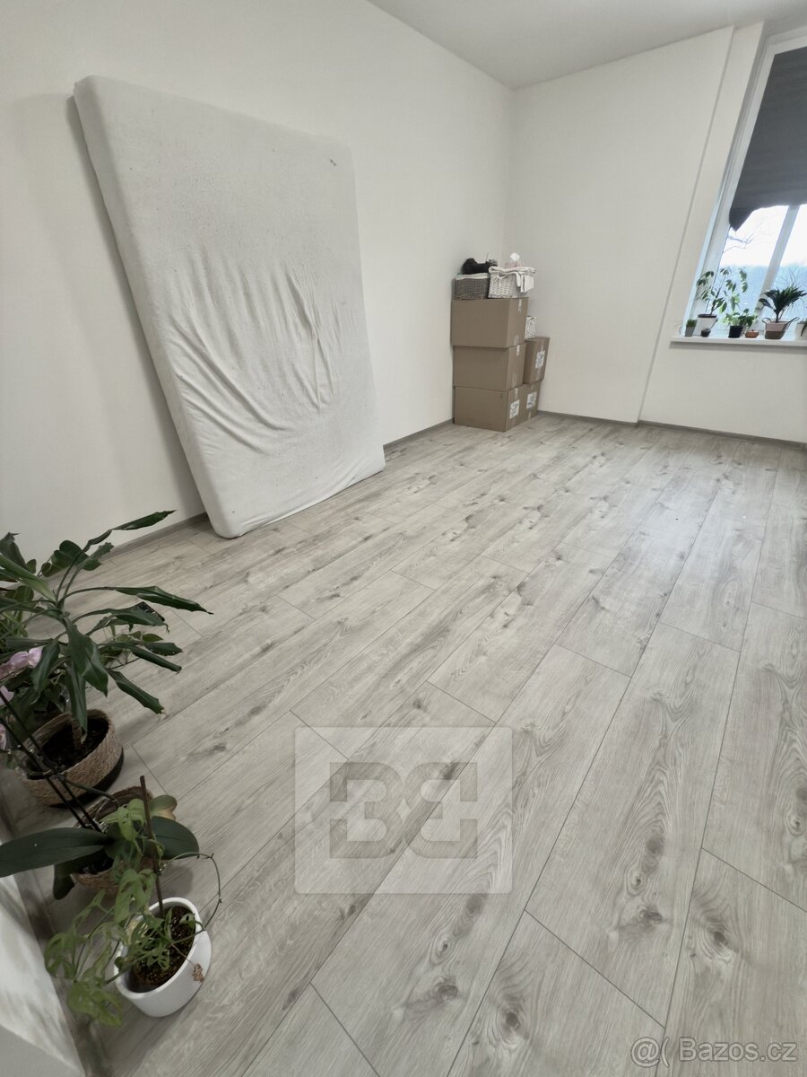 Pronájem bytu 1+1 45 m², se zahradou 100 m² - Mělník - 4