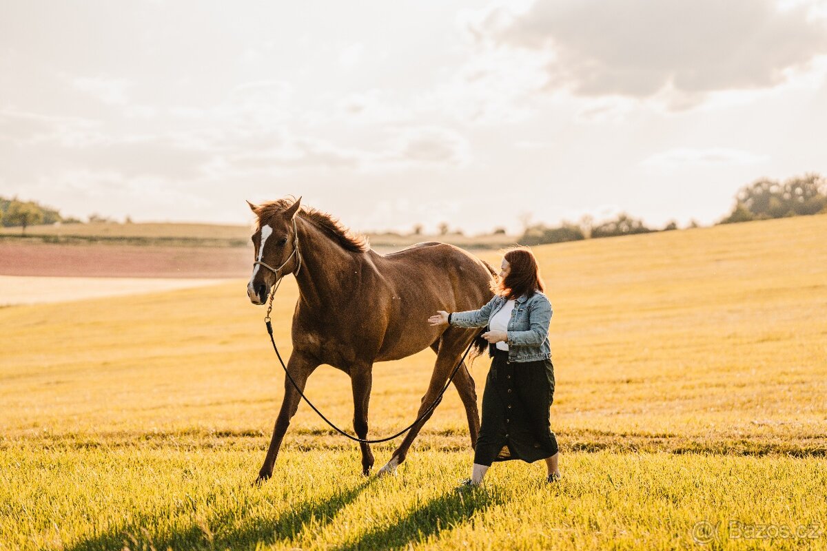 Rekreační parťačka do bezplatného pronájmu/s odkupem - 4