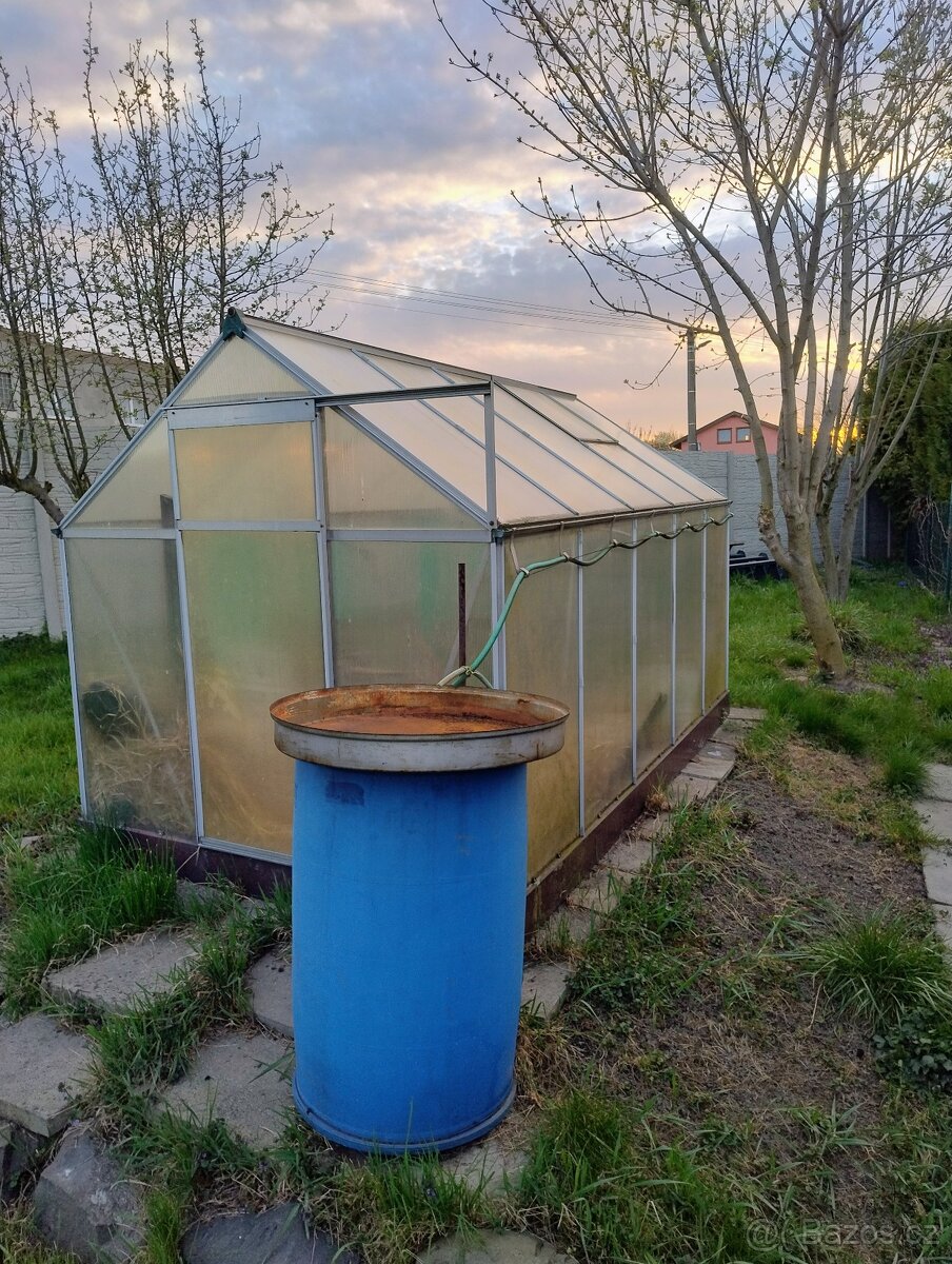Skleník - 4