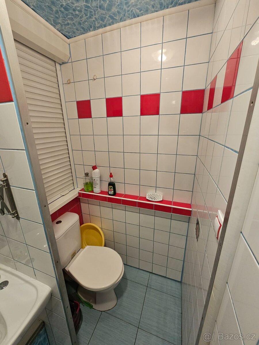 Prodám byt 1+1 v Hodoníně - 4