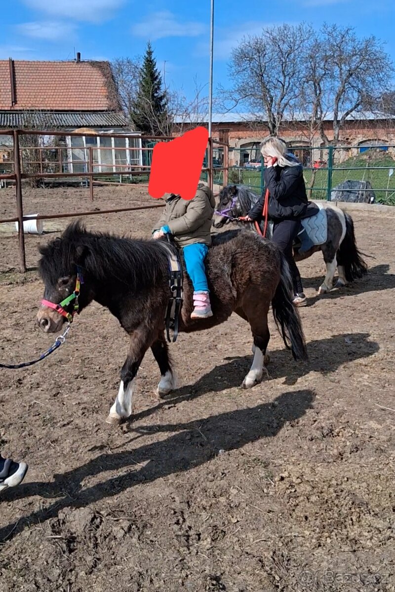 Pony klisna - 4