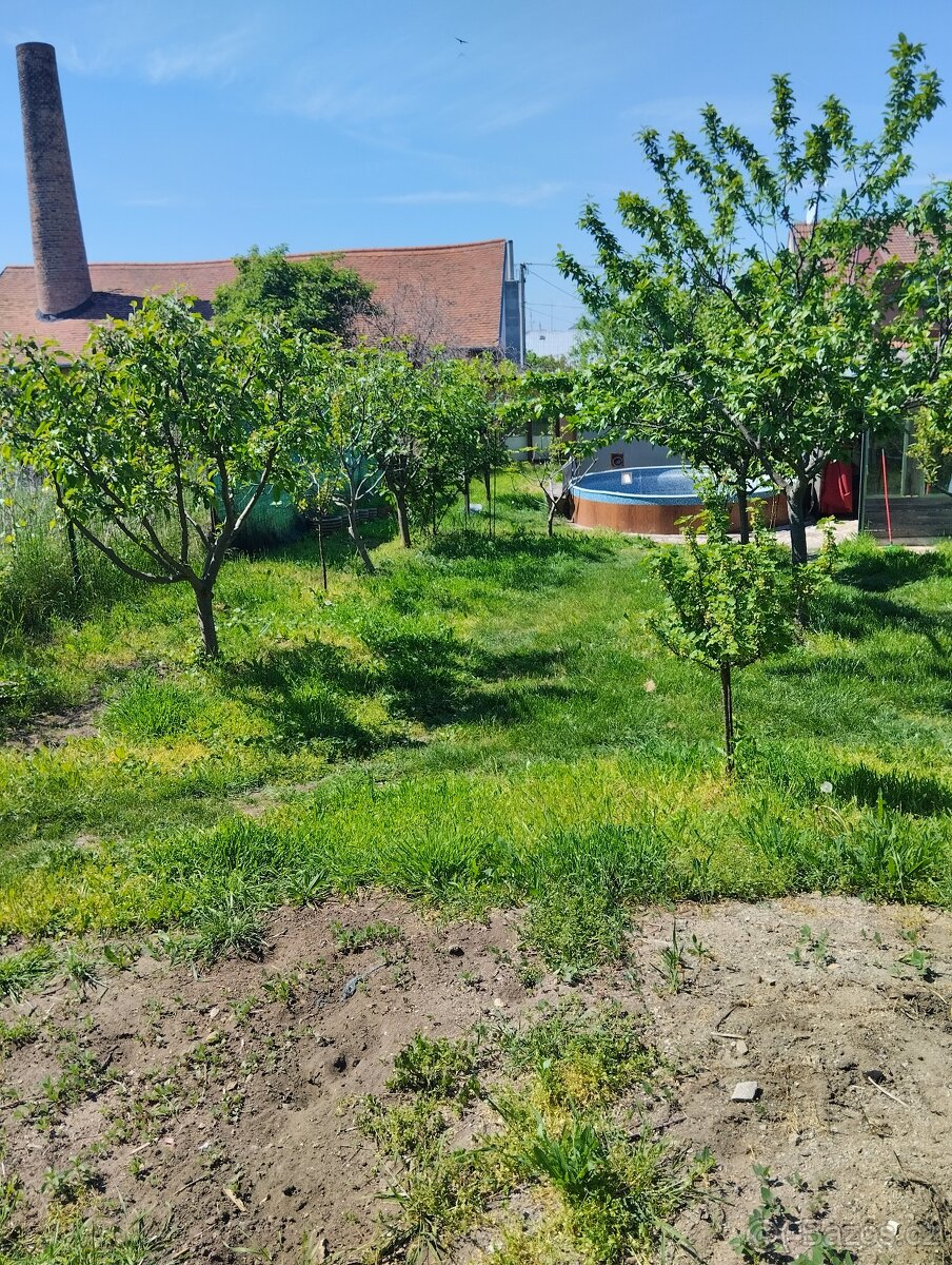 Prodej domu 5+1/2+1/garáž Mikulov -Mušlov 10 - 4