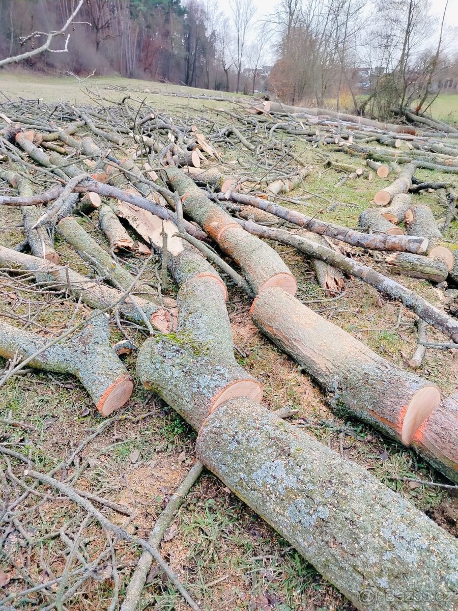 Palivové dřevo - 4