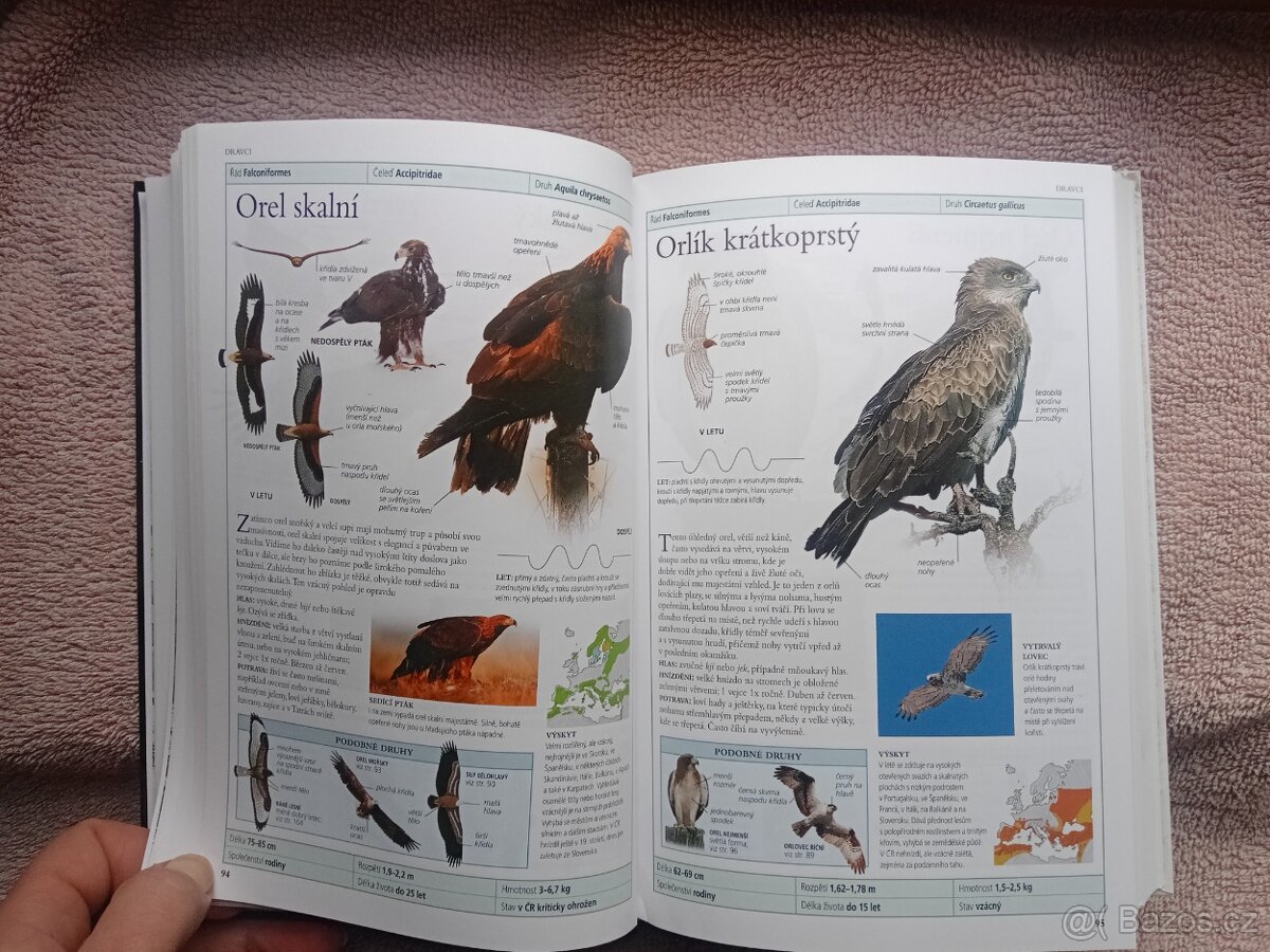 PTÁCI EVROPY-Rob Home - 4